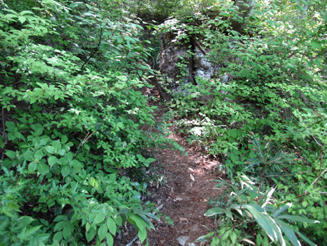 20140517hike (206)